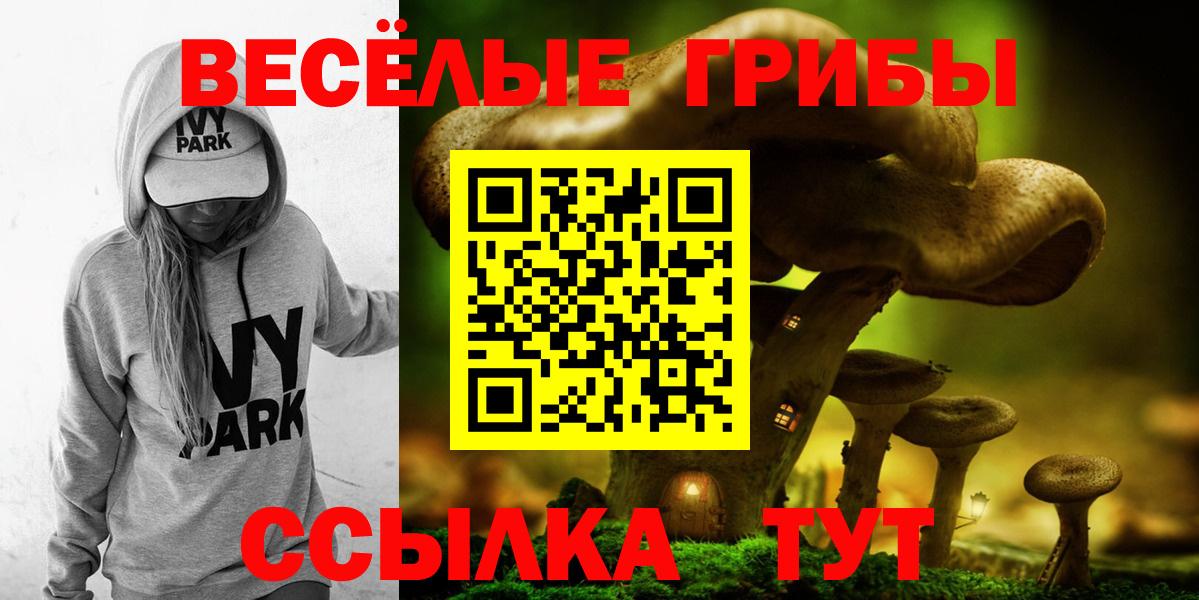 Псилоцибиновые грибы прущие грибы Наро-Фоминск